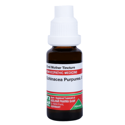 Echinacea Purpurea 1X (Q) (20ml)